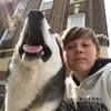 dawid_zebra